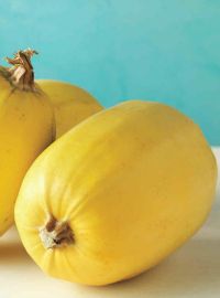 Spaghetti Squash / Pinnacle