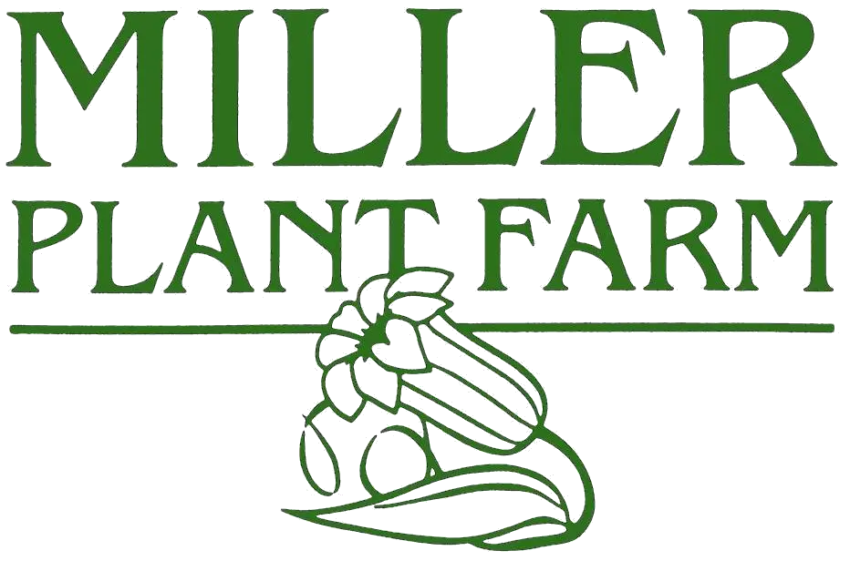 Miller Plant Farm